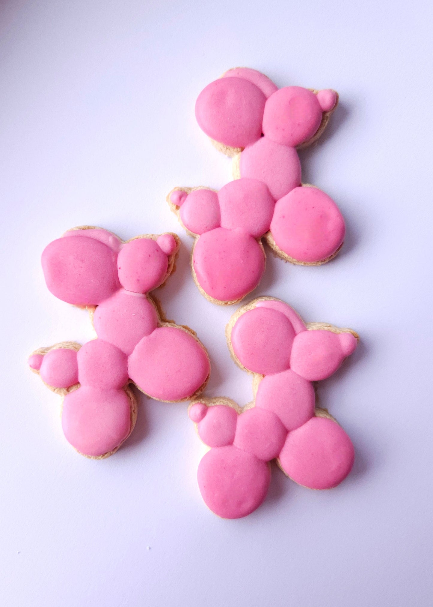 Pup Balloons - Iced Dog Biscuits (x4)