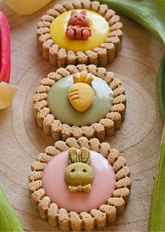 Easter Tarts - Dog Biscuits