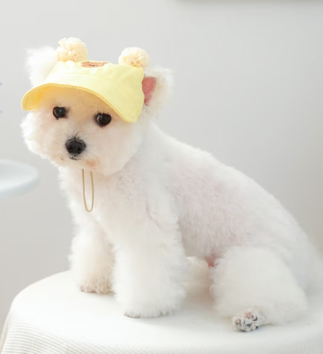Teddy Bear - Dog Cap (Size S or M)