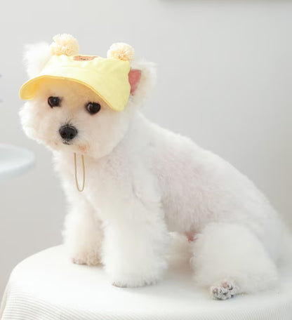 Teddy Bear - Dog Cap (Size S or M)