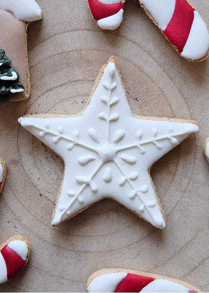 Festive Iced Dog Biscuit Set (5 Biscuits)