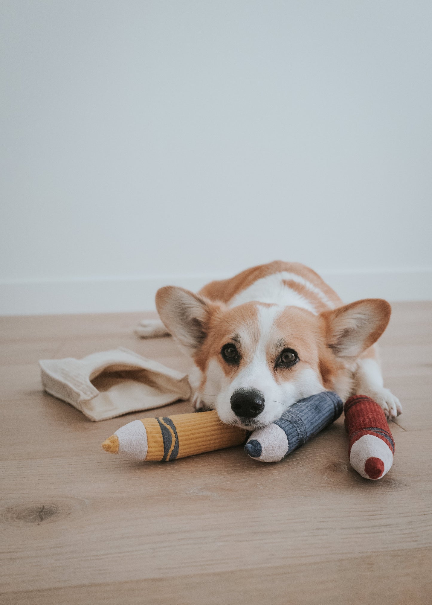 Crayons - Snuffle/Enrichment Toy