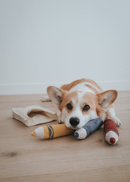 Crayons - Snuffle/Enrichment Toy