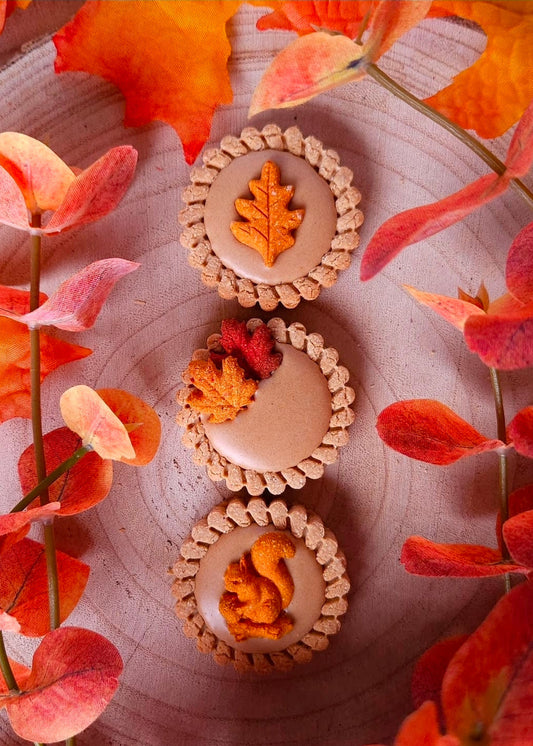 Autumn Tarts - Dog Biscuits (x3)