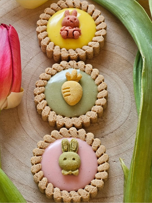 Easter Tarts - Dog Biscuits