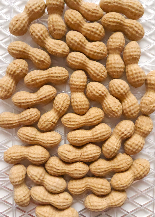 Pup Peanuts - Dog Treats (100g)