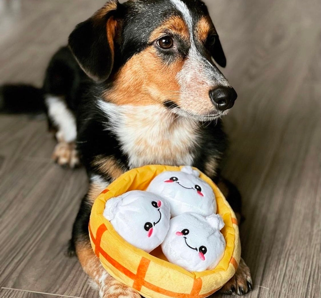 Dumplings - 4-Piece Enrichment/Snuffle Toy