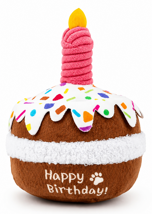 Small Birthday Cake - Squeaky Dog Toy