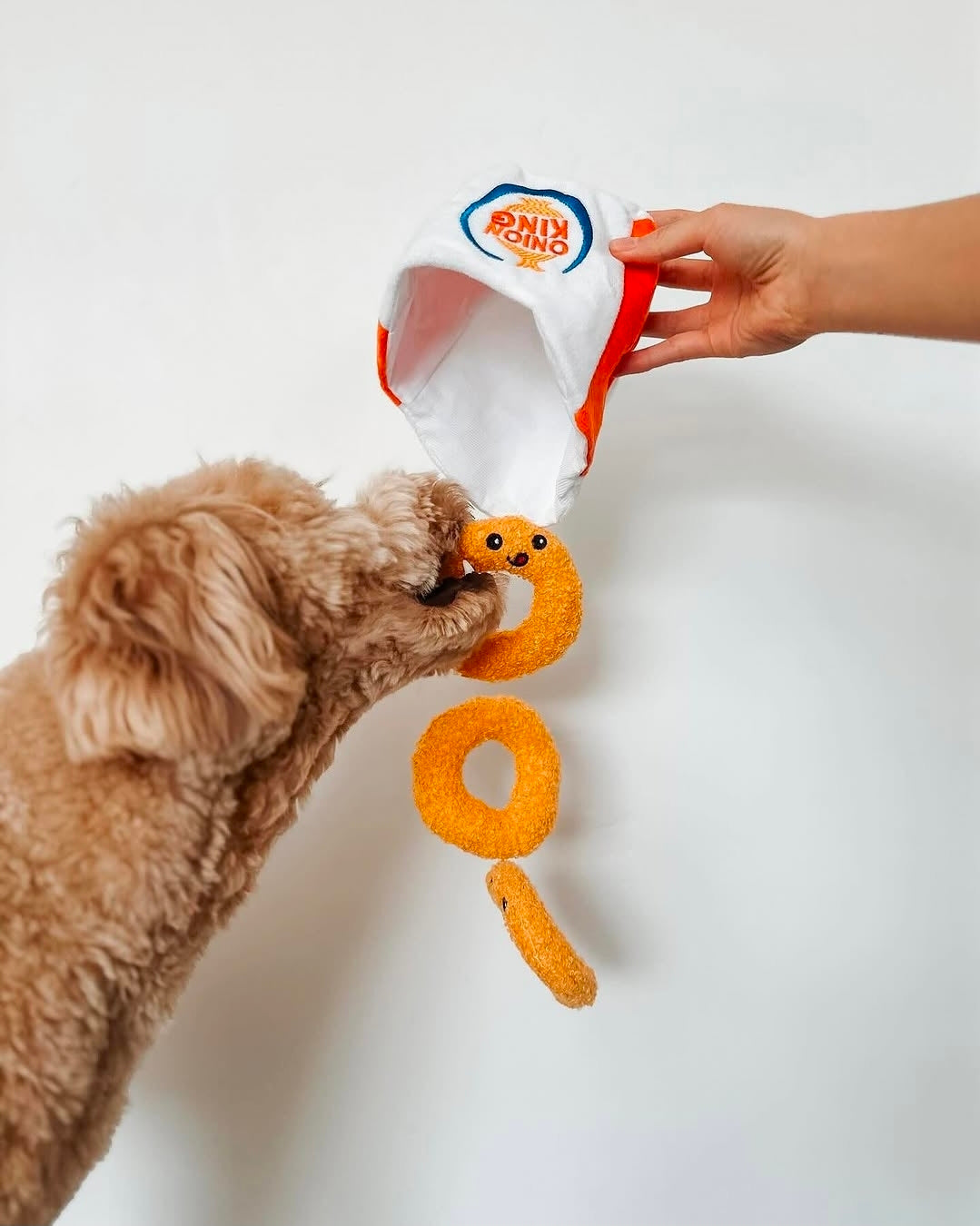 Onion Ring - 4-Piece Enrichment/Snuffle Toy