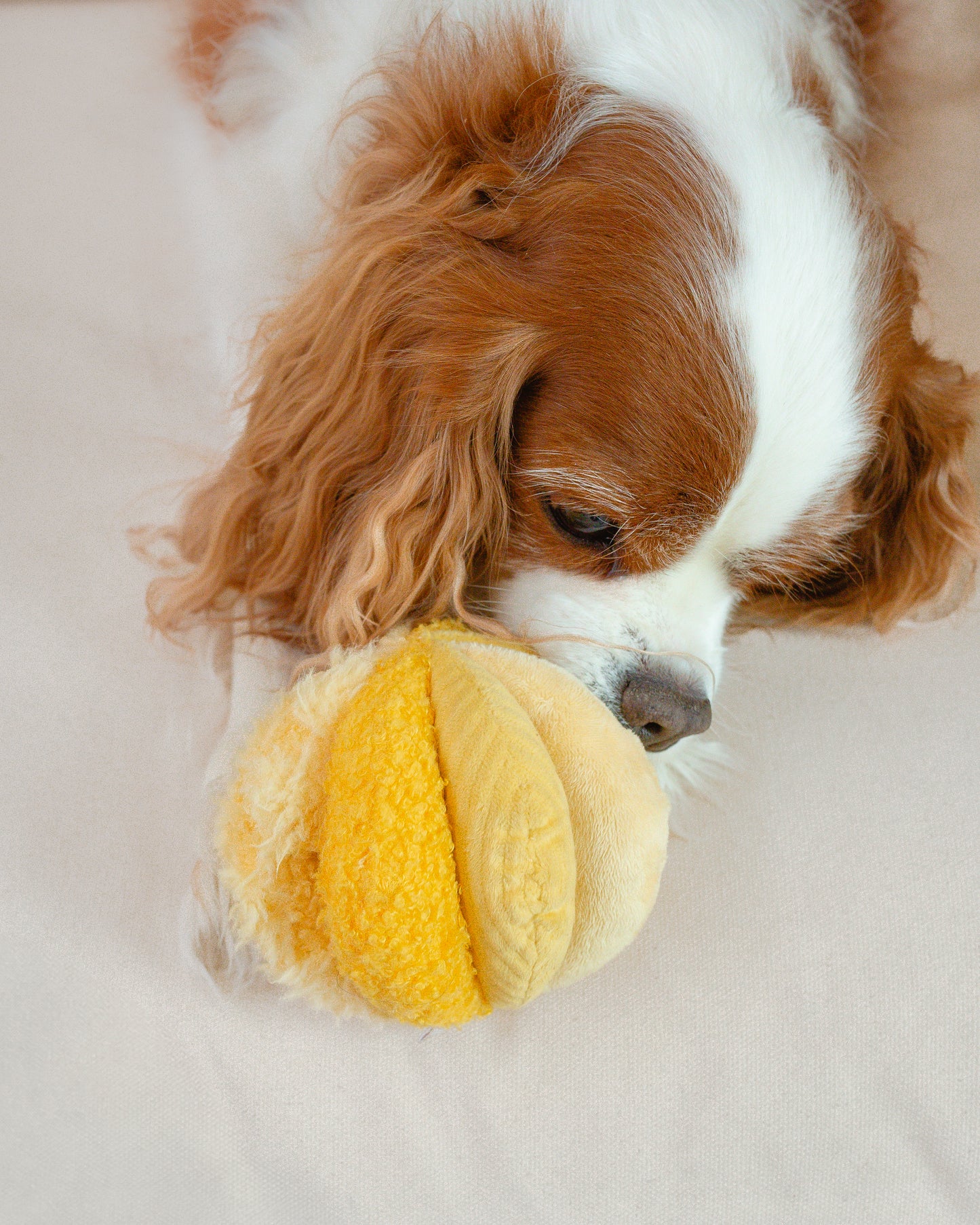 Mini TOTO (10cm) - Silent Snuffle/Enrichment Ball