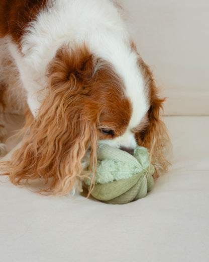 Mini TOTO (10cm) - Silent Snuffle/Enrichment Ball