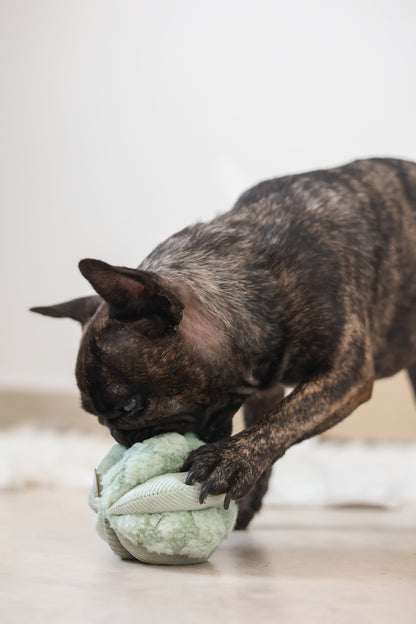 Mini TOTO (10cm) - Silent Snuffle/Enrichment Ball